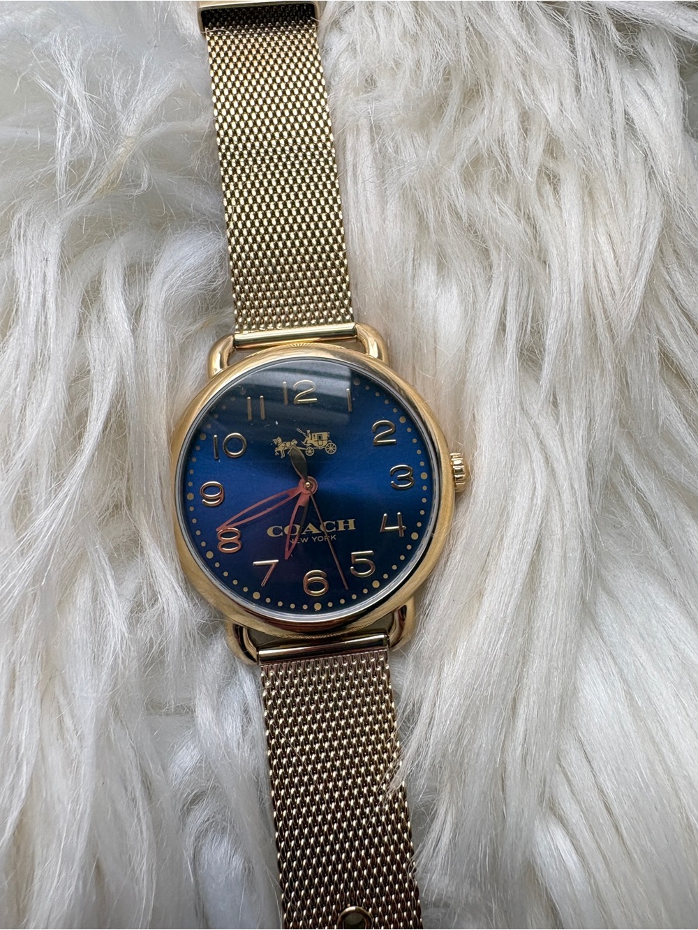 Coach Gold Mesh Strap Watch with Blue Dial